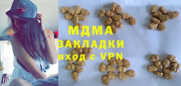индика Медвежьегорск