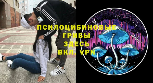индика Медвежьегорск