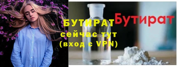 индика Медвежьегорск