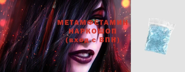 индика Медвежьегорск