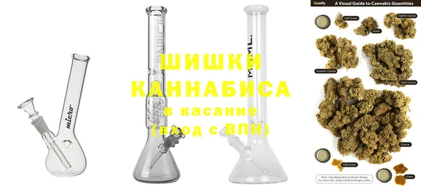 индика Медвежьегорск