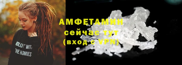 индика Медвежьегорск