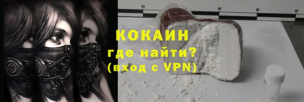 индика Медвежьегорск