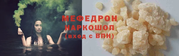 индика Медвежьегорск