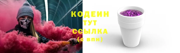 индика Медвежьегорск