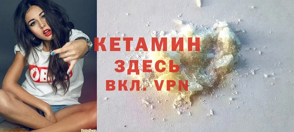 индика Медвежьегорск