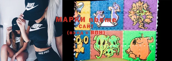 индика Медвежьегорск