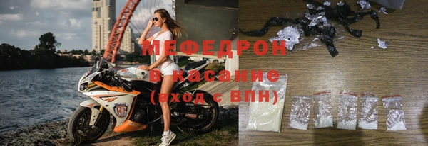 индика Медвежьегорск
