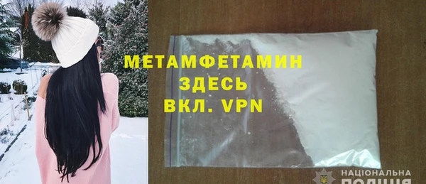 индика Медвежьегорск
