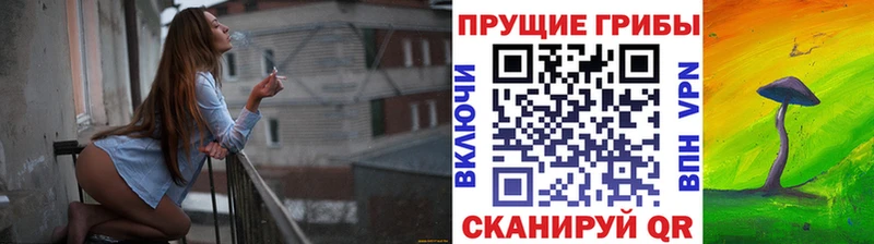 Галлюциногенные грибы MAGIC MUSHROOMS ОМГ ОМГ как зайти Ртищево что такое