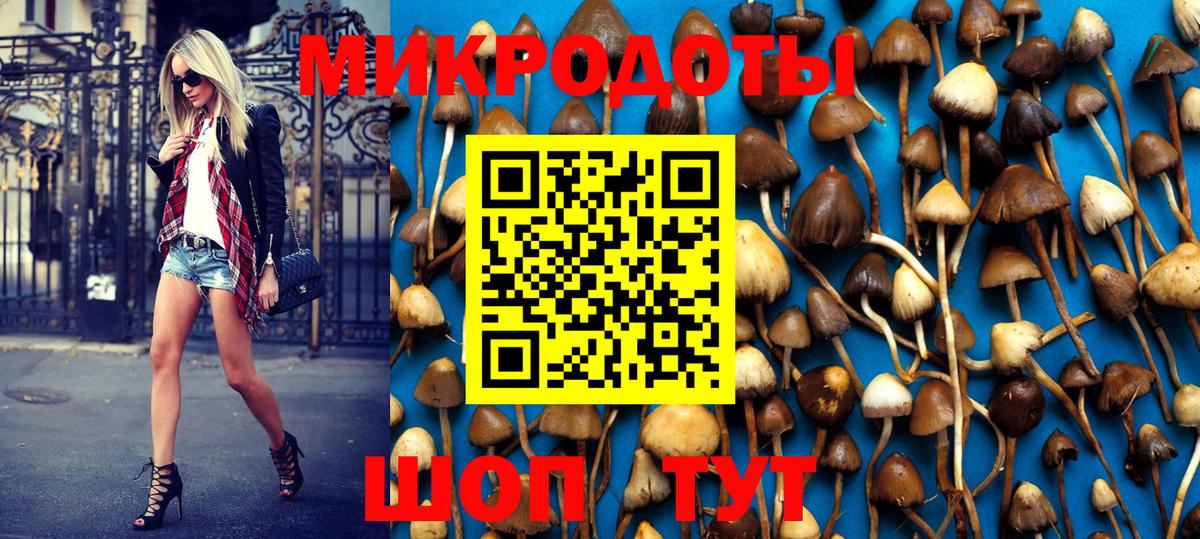 Ртищево  Галлюциногенные грибы Psilocybine cubensis  Вход с VPN 