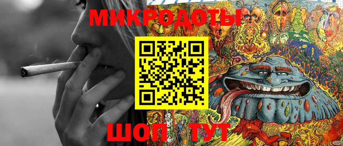 Ртищево  Псилоцибиновые грибы прущие грибы  Псилоцибиновые грибы прущие грибы  Вход с VPN 