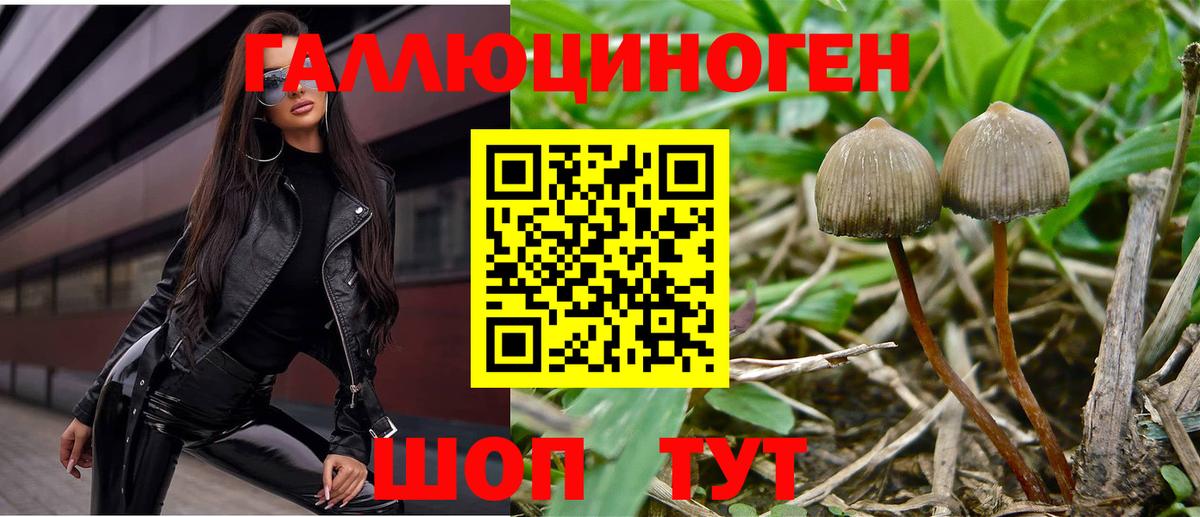 Галлюциногенные грибы мухоморы Ртищево