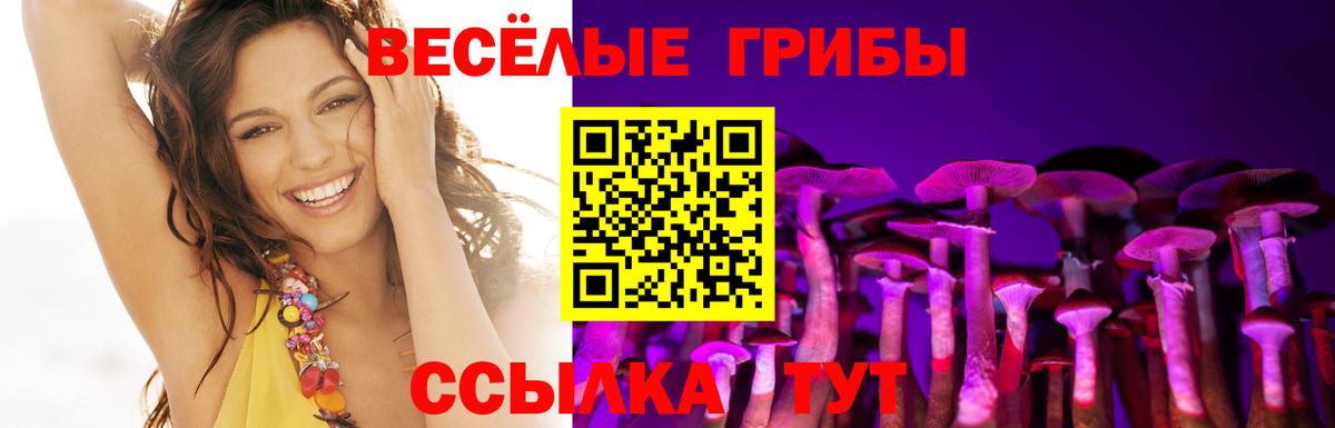 Псилоцибиновые грибы Cubensis Ртищево